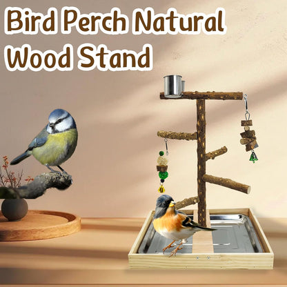 Tfwadmx Bird Perch Natural Wood Stand Toy Parrot Play Stand Platform Bird Cage with Removable Tray