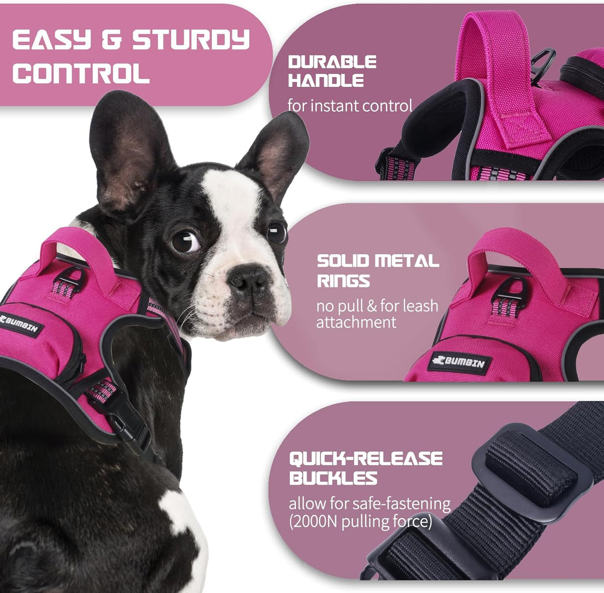 BUMBIN Dog Harness for Large Dogs, No Pull Adjustable No Choke Pet Vest with Dog Leash Fit Smart