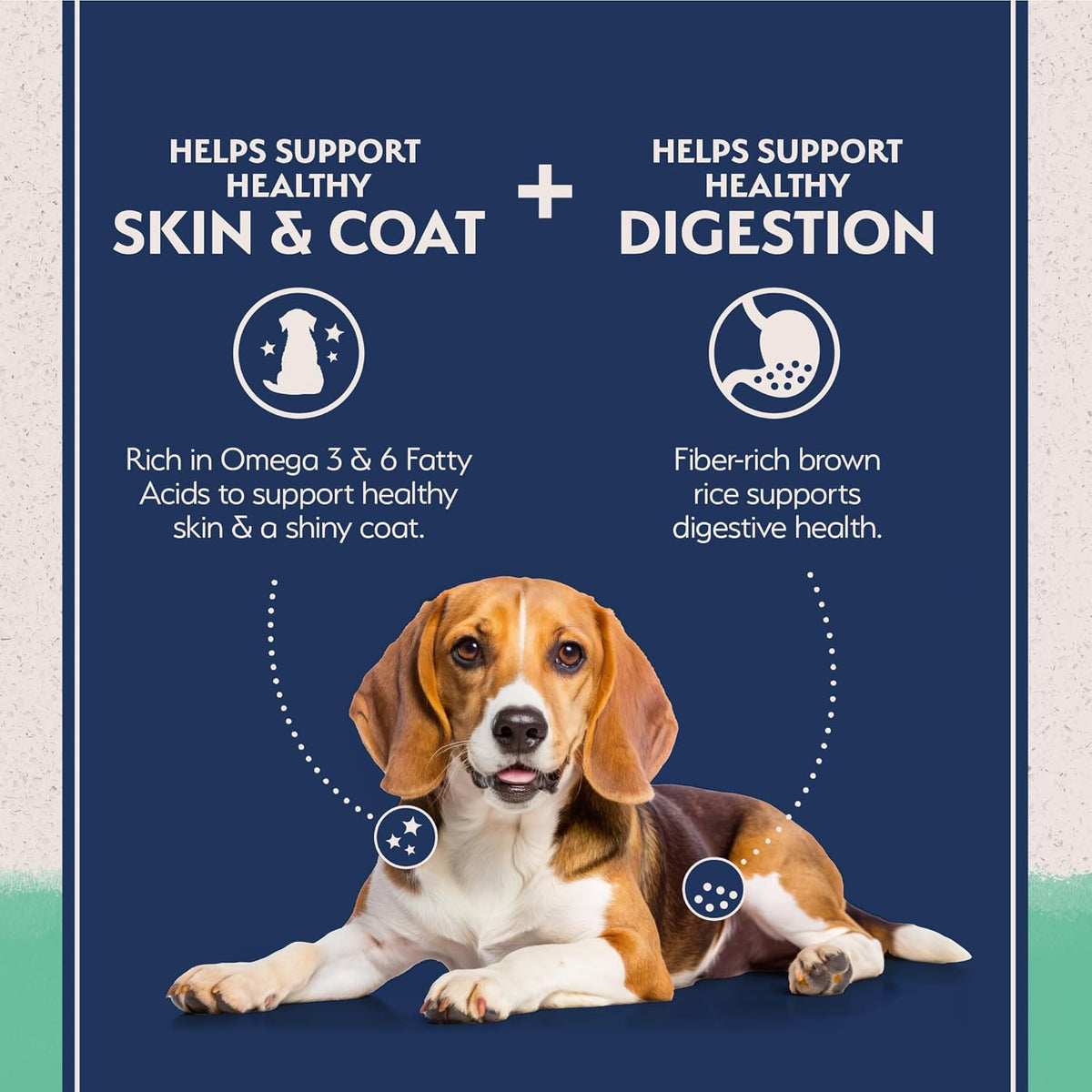 Natural Balance Limited Ingredient Adult Grain-Free Dry Dog Food, Chicken & Sweet Potato Recipe, 4