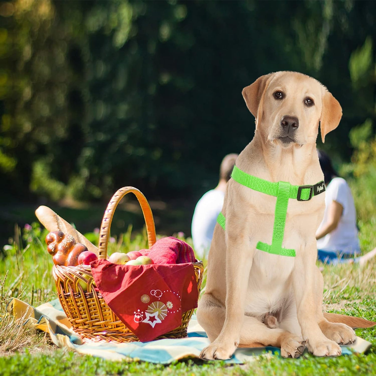 PUPTECK No Pull Dog Harness Soft Adjustable Basic Nylon Step in Puppy Vest Outdoor Walking with ID