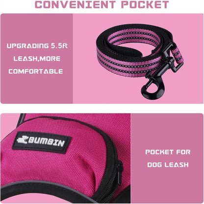 BUMBIN Dog Harness for Large Dogs, No Pull Adjustable No Choke Pet Vest with Dog Leash Fit Smart