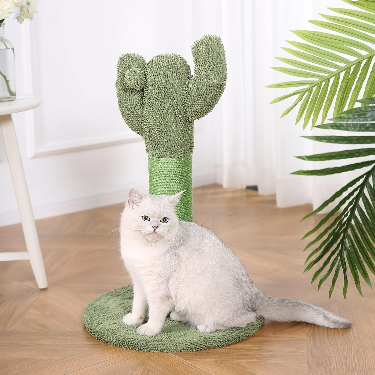 Amazon Basics Cat Scratcher - Indoor Cactus Single Cat & Kittens Scratching Post with Dangling