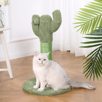 Amazon Basics Cat Scratcher - Indoor Cactus Single Cat & Kittens Scratching Post with Dangling