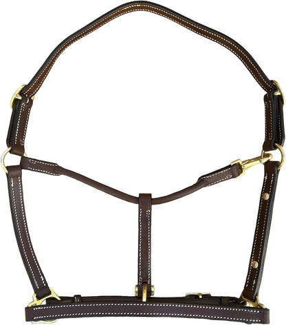Leaders 3/4" Leather Halter for Horses with Customized Engraved Name Plate Brown Leather with Solid