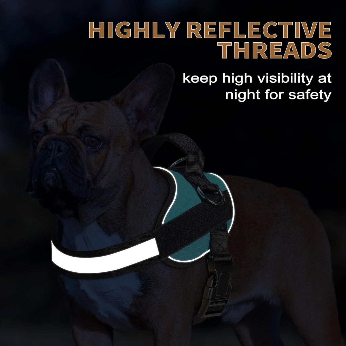 Haapaw Essential Dog Harness, No Pull Pet Vest with 3 Leash Clips, No Choke, Reflective, Adjustable