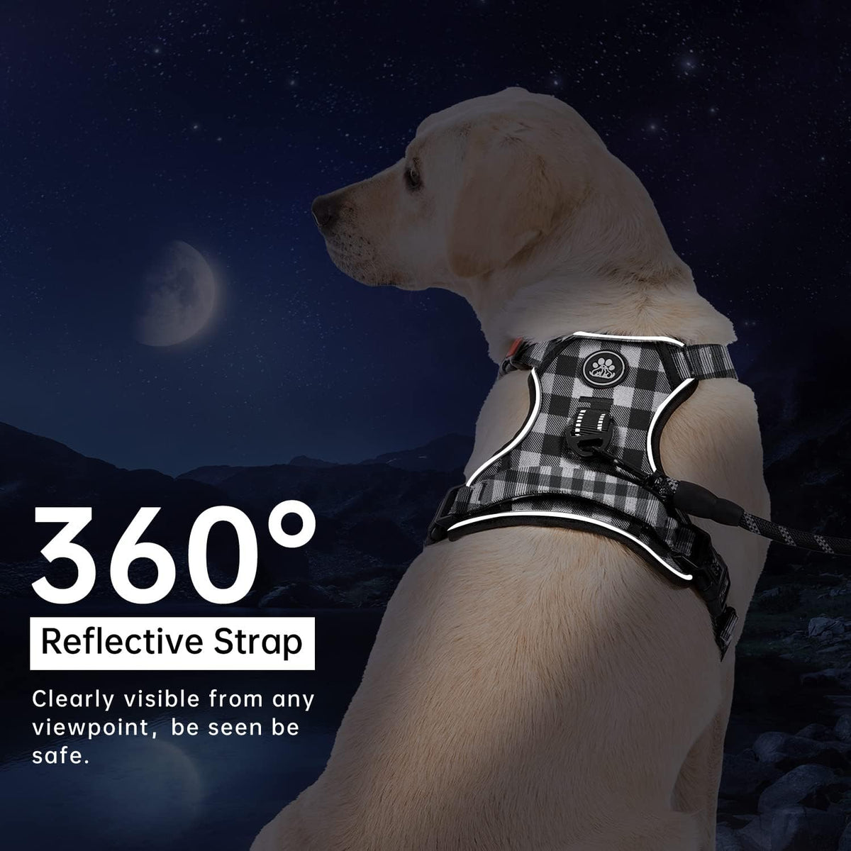 IVY&LANE No Pull Dog Harness with Leash Set, Reflective No Choke Pet Vest,Adjustable Oxford Dog