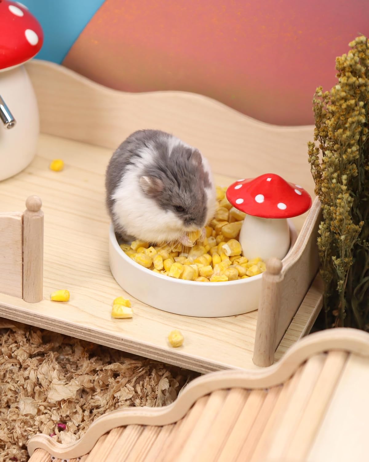 Niteangel Hamster Snack & Treats Toy - Small Animal Natural Treat for Dwarf Syrian Robo Hamsters