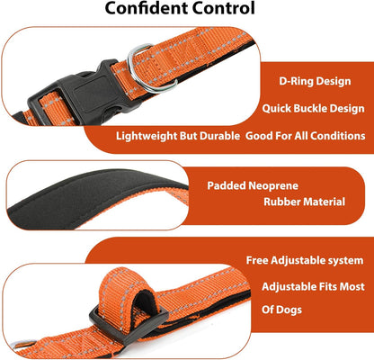 Reflective Dog Collar Padded with Soft Neoprene Breathable Quick Release Basic Dog Collars for
