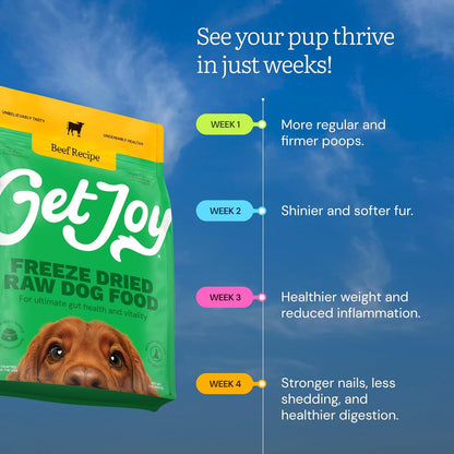 Get Joy Gut Health Fresh Freeze Dried Raw Meal, Beef Recipe, 32 Ounce Bag, Dog Food for Dogs of All