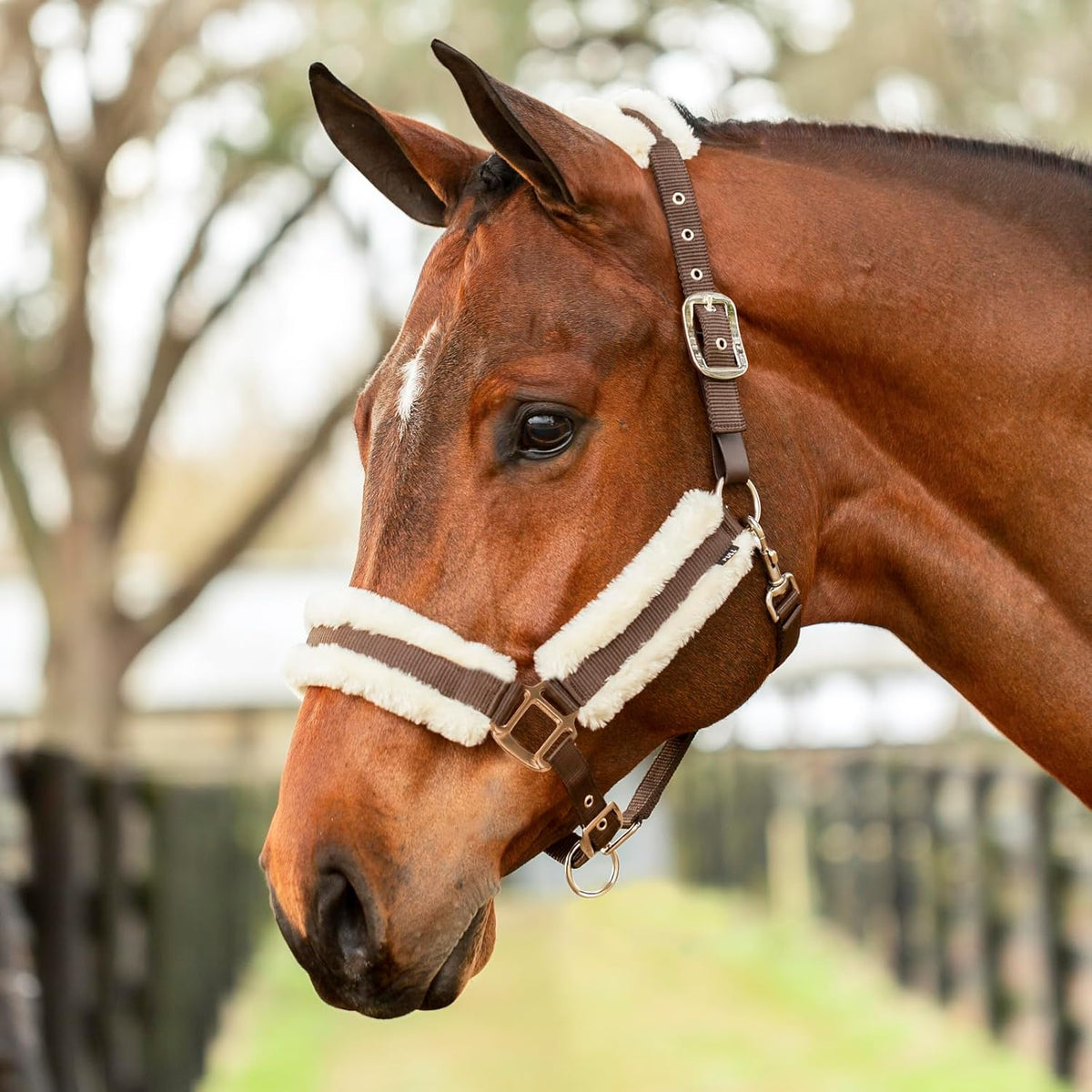 Equinavia Valkyrie Soft Ultra Fleece Padded Adjustable Breakaway Horse Halter - Brown/Ivory White