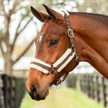 Equinavia Valkyrie Soft Ultra Fleece Padded Adjustable Breakaway Horse Halter - Brown/Ivory White