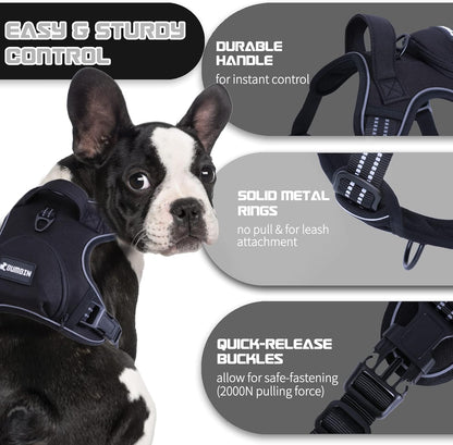 No Pull Dog Harness for Medium Dogs, Adjustable No Choke Pet Vest with Dog Leash Fit Smart