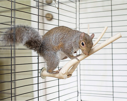 Multi-Branch Perch (Medium) - Durable Natural Climbing Branch Perch Cage Accessory - Sugar Gliders