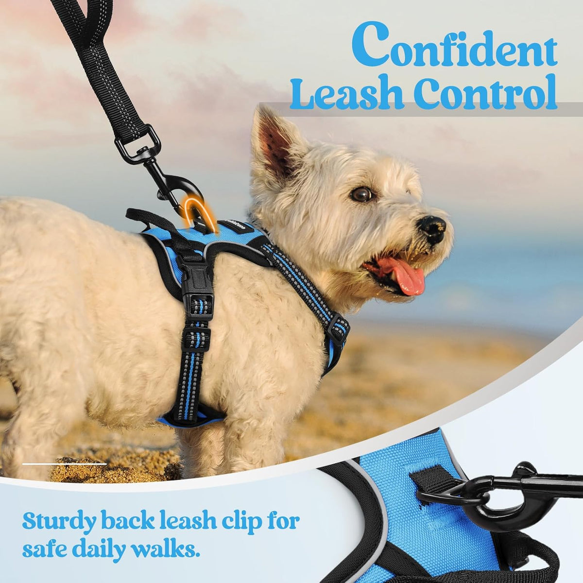 rabbitgoo Dog Harness No Pull with 2 Leash Clips, Adjustable Soft Padded, Reflective Oxford No