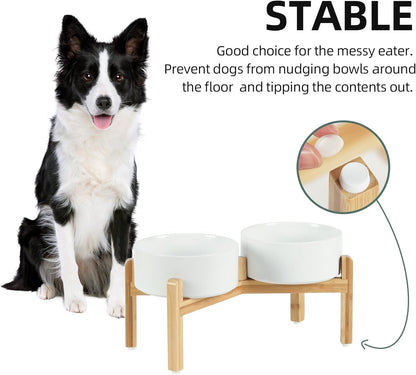 Ceramic Raised Double Bowls Set with Stand, Food & Water Bowls for Medium Breed Dogs, Weighted Dog