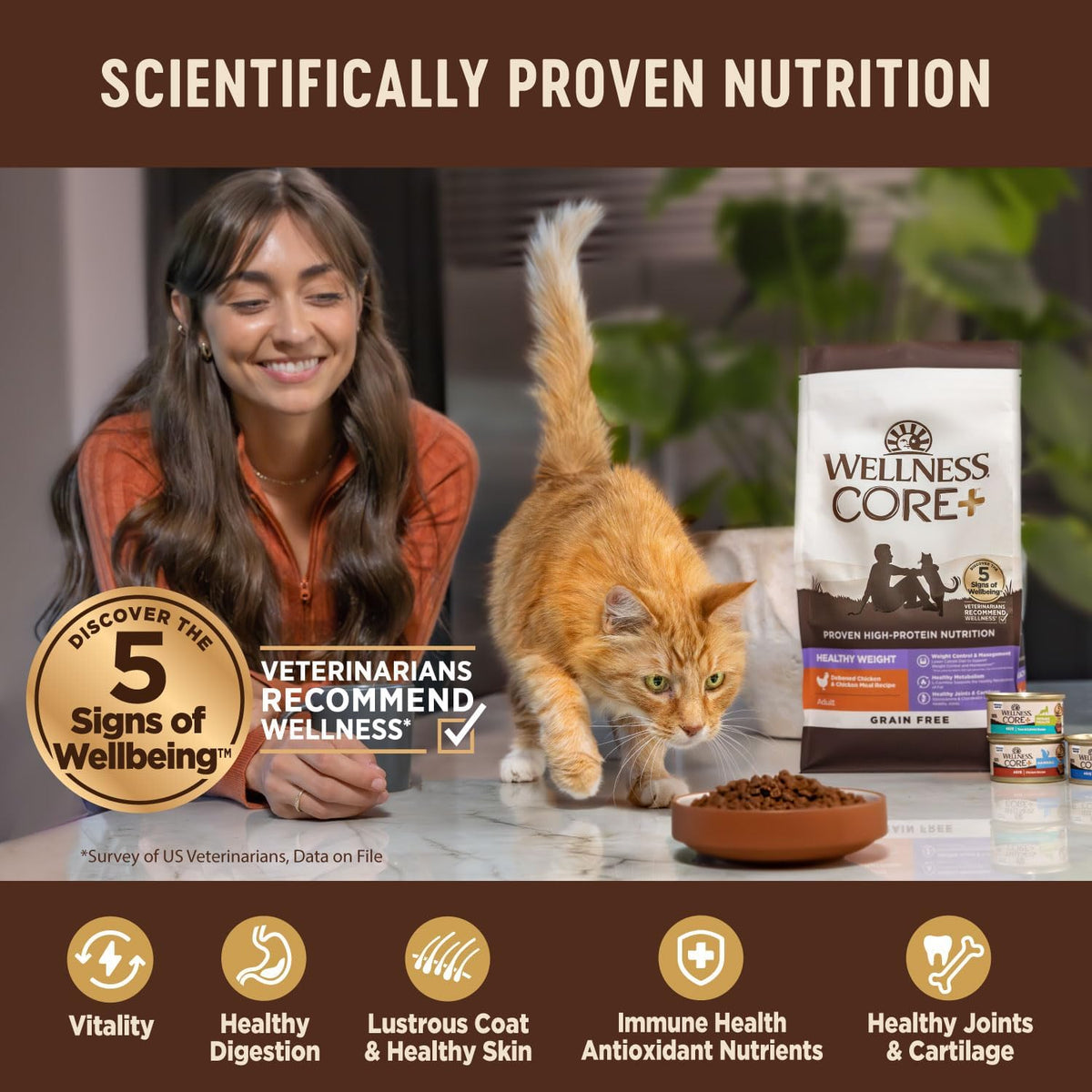 Wellness CORE+ Adult Dry Cat Food for Indoor and Outdoor Cats, Wholesome Grains, Natural, Digestive