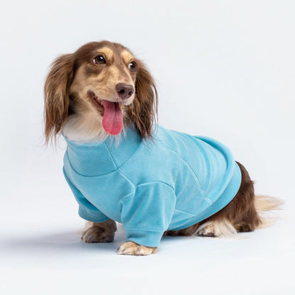 Fitwarm 3 Pack Classic Fleece Dog Sweater, Turtleneck Dog Sweatshirt, Dog Winter Clothes for Small