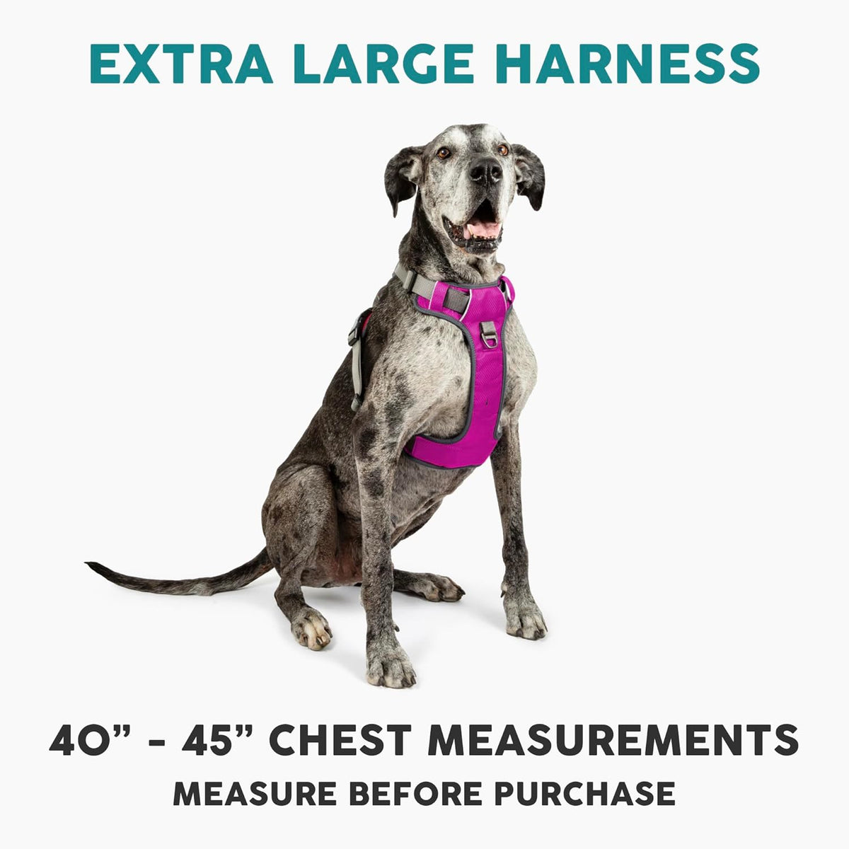 Embark Adventure Dog Harness, Reflective Trim XL Dog Harness for Extra Large Dogs No Pull
