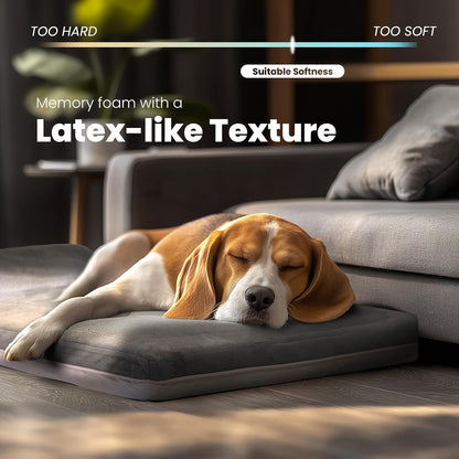 Laifug Orthopedic Memory Foam Extra Large Dog Bed with Pillow and Durable Water Proof Liner &