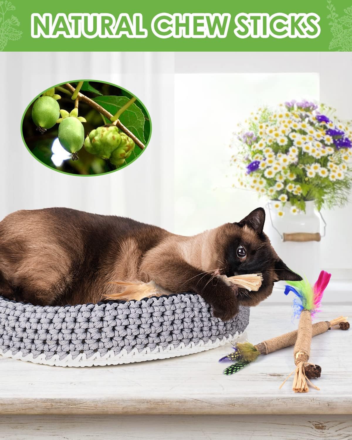 TINDTOP Silvervine Chew Sticks for Cats, Natural Catnip Chew Toys for Kittens Teeth Cleaning