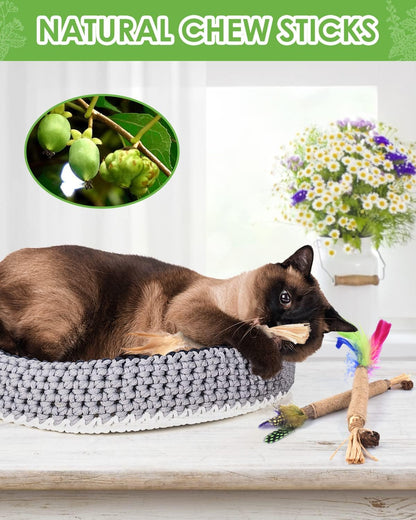 TINDTOP Silvervine Chew Sticks for Cats, Natural Catnip Chew Toys for Kittens Teeth Cleaning