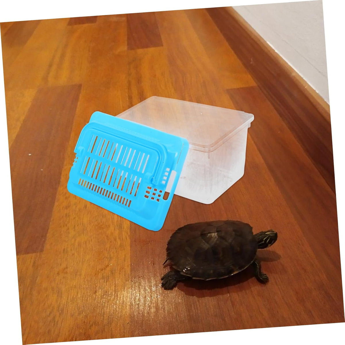 Transparent Plastic Turtle Fish Tank, Reptile Carrier, Feeding Tank, Glass Containers, Amphibia