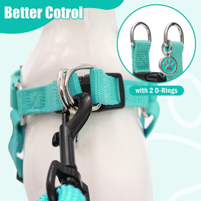 PUPTECK No Pull Dog Harness Soft Adjustable Basic Nylon Step in Puppy Vest Outdoor Walking with ID