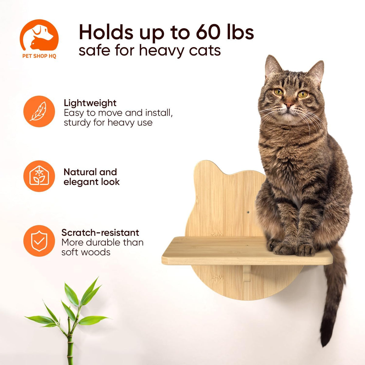 Wall-Mounted Cat Furniture for Climbing - Indoor Wooden Floating Shelves, Perches, Hammock, Bed