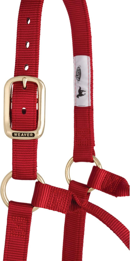 Weaver Equine Nylon Horse Halter, Triple-Ply Cheek Design, Original Non Adjustable Halters for