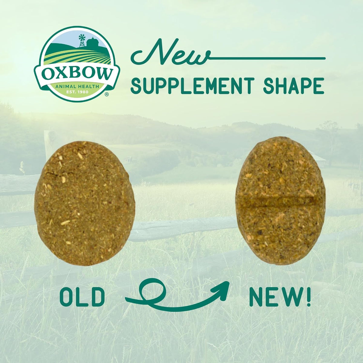 Oxbow Animal Health Natural Science Skin & Coat Support, Supplement for Rabbit & Guinea Pig, Made