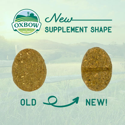 Oxbow Animal Health Natural Science Skin & Coat Support, Supplement for Rabbit & Guinea Pig, Made