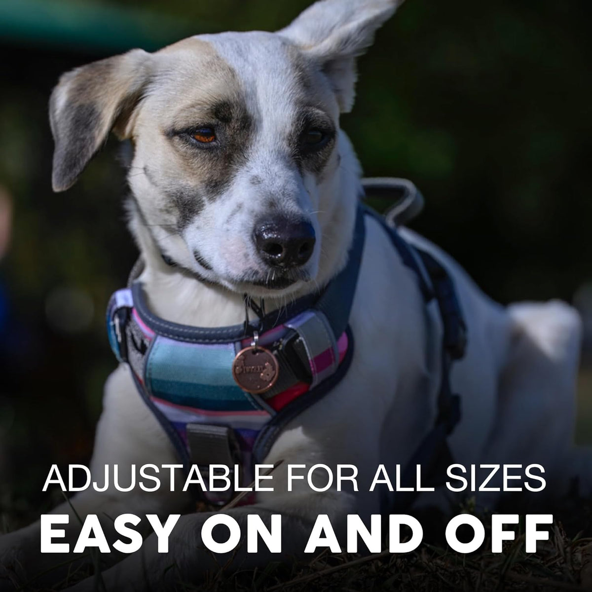 Embark Adventure Dog Harness, Reflective Trim No Pull Harness for Medium Sized Dog - Military Grade