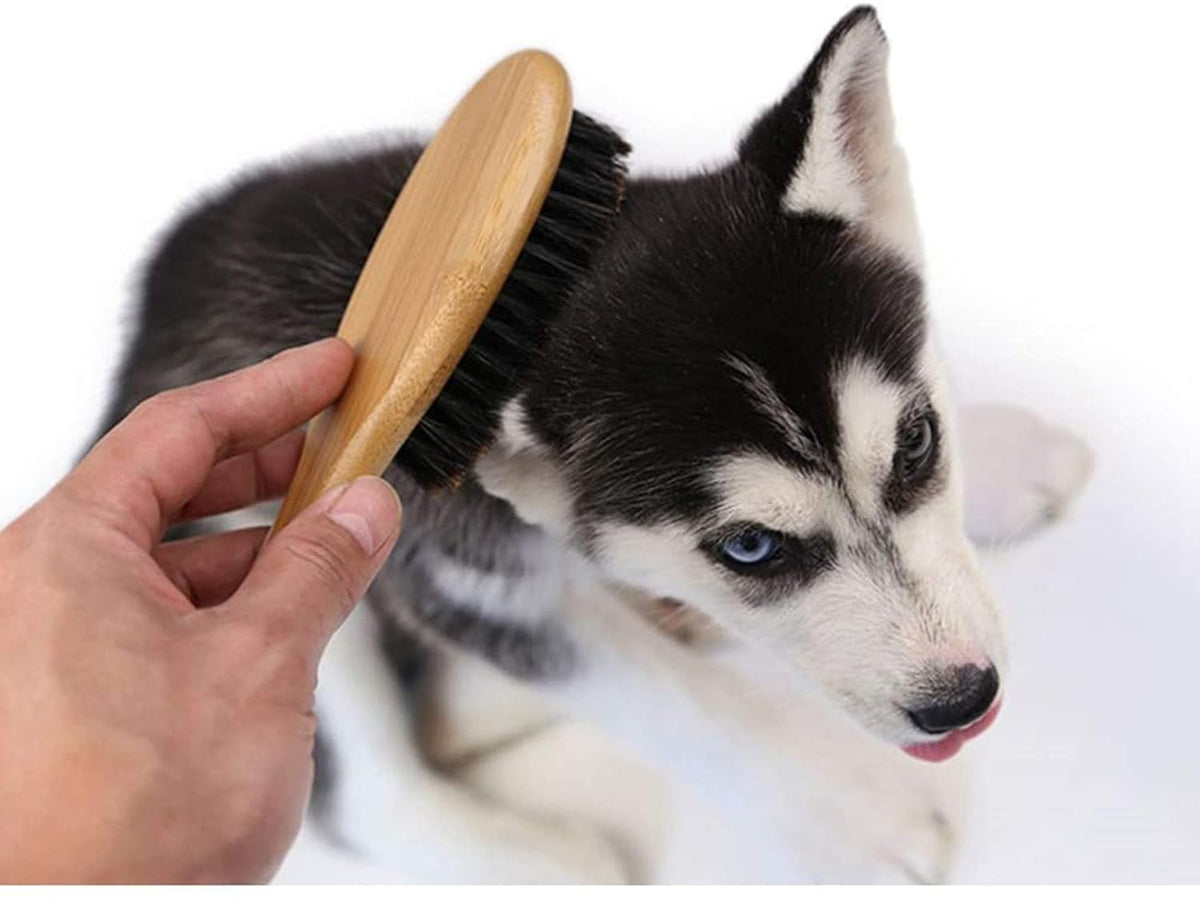 Patina Dog Cat Brush for Shedding, Natural Bamboo Boar Bristles Brush, Pet Grooming Supplies for