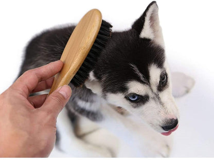 Patina Dog Cat Brush for Shedding, Natural Bamboo Boar Bristles Brush, Pet Grooming Supplies for