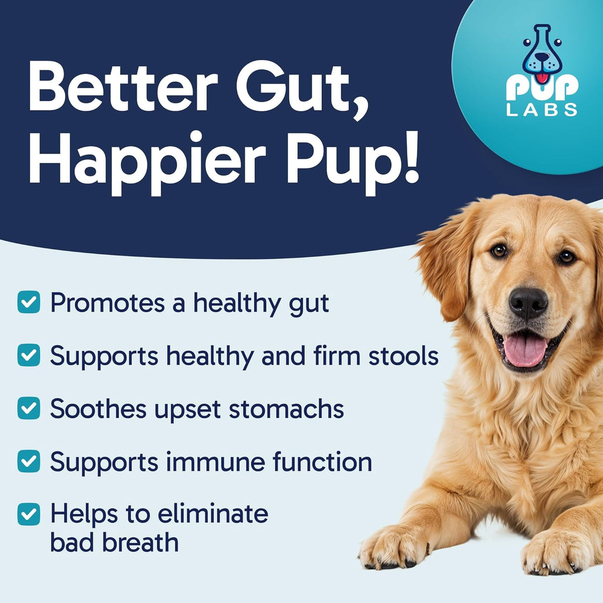 Tummy Essentials Probiotic Chews for Dogs, Supports Gut Health for Dogs and Firm Stools, Helps