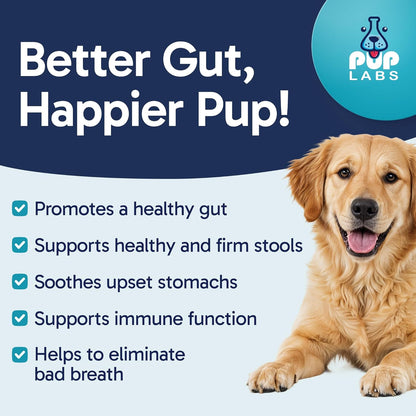 Tummy Essentials Probiotic Chews for Dogs, Supports Gut Health for Dogs and Firm Stools, Helps