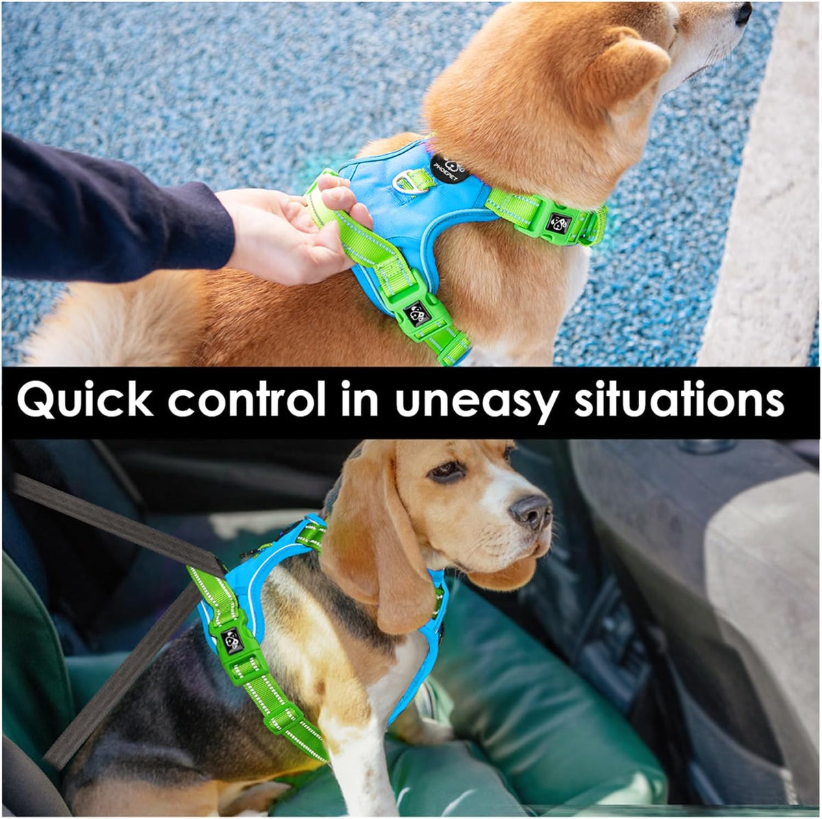 PHOEPET No Pull Dog Harness, Unique Colors Reflective Adjustable Dog Vest, with Soft Training