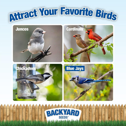 CountryMax Backyard Seeds 1984 Heritage Mix – Premium Bird Seed Blend with Black Oil Sunflower