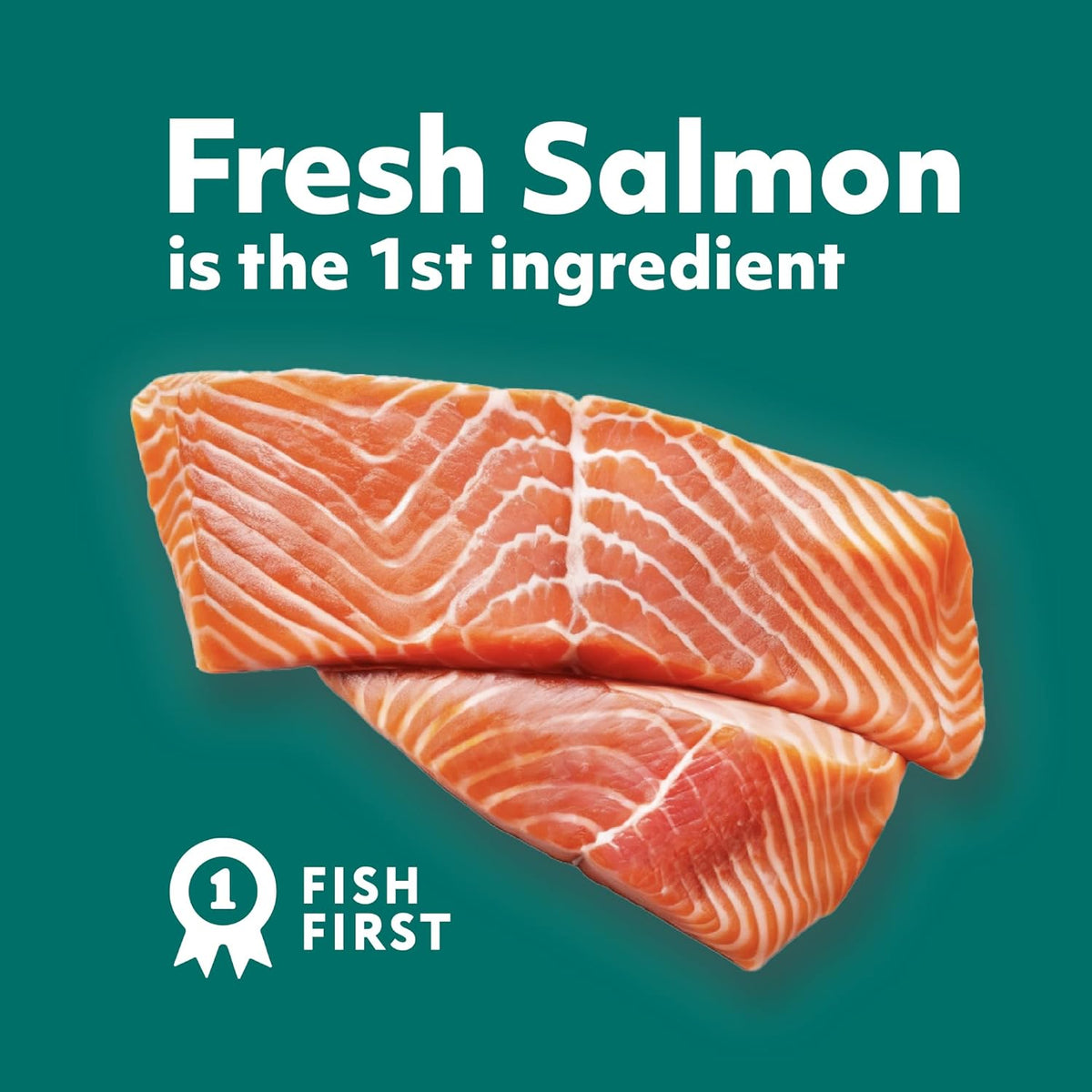 Optimeal Grain-Free Wet Cat Food – Shrimp & Salmon Recipe, High Protein & Moisture Rich Indoor