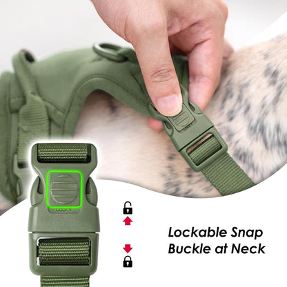 No Pull Dog Harness, Puppy Vest with Front Clip for Small Medium Large Sized Cute Dog (Misty