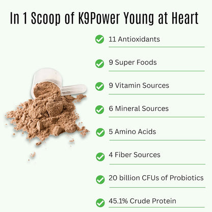 K9 Power Young at Heart Senior Dog Multivitamin 1 lb – Advanced Supplement for Seniors – Supports