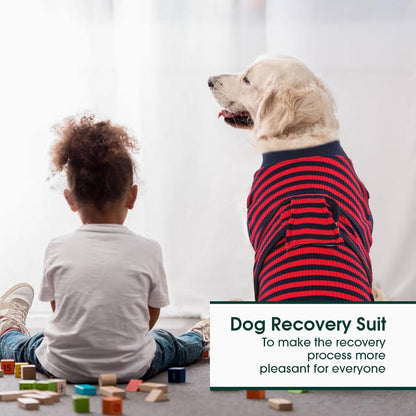 Kuoser Recovery Suit for Dogs Cats After Surgery, Professional Pet Recovery Shirt Dog Abdominal