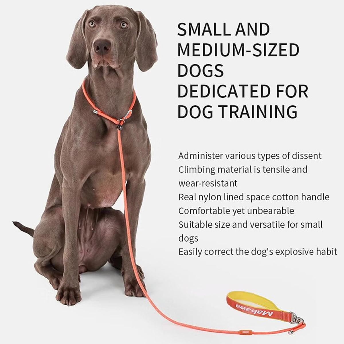 Dog Anti-Slip Leash 5FT with Metal Stopper - Durable No-Pull Training Lead for Small, Medium &