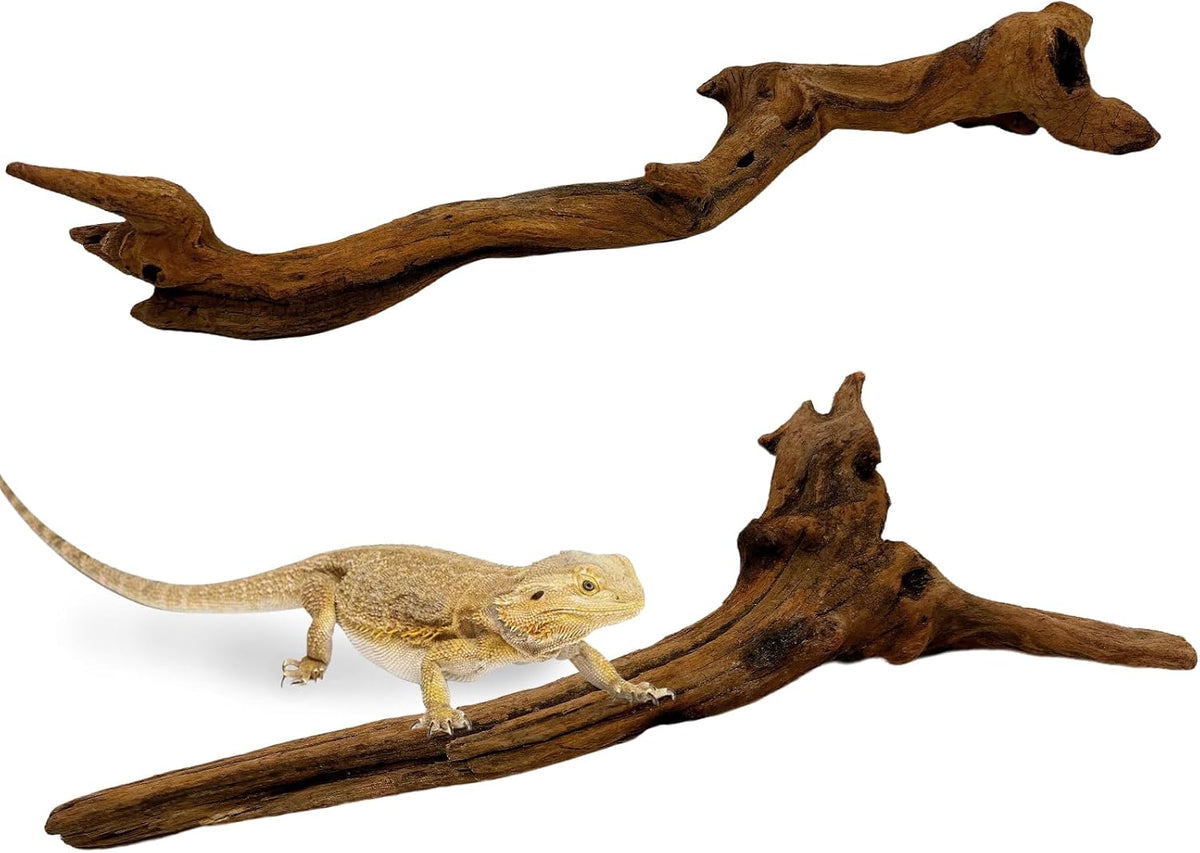 BNOSDM 2PCS Snake Climbing Branches,Reptile Natural Coral Driftwood Branches Decor,Lizard Habitat