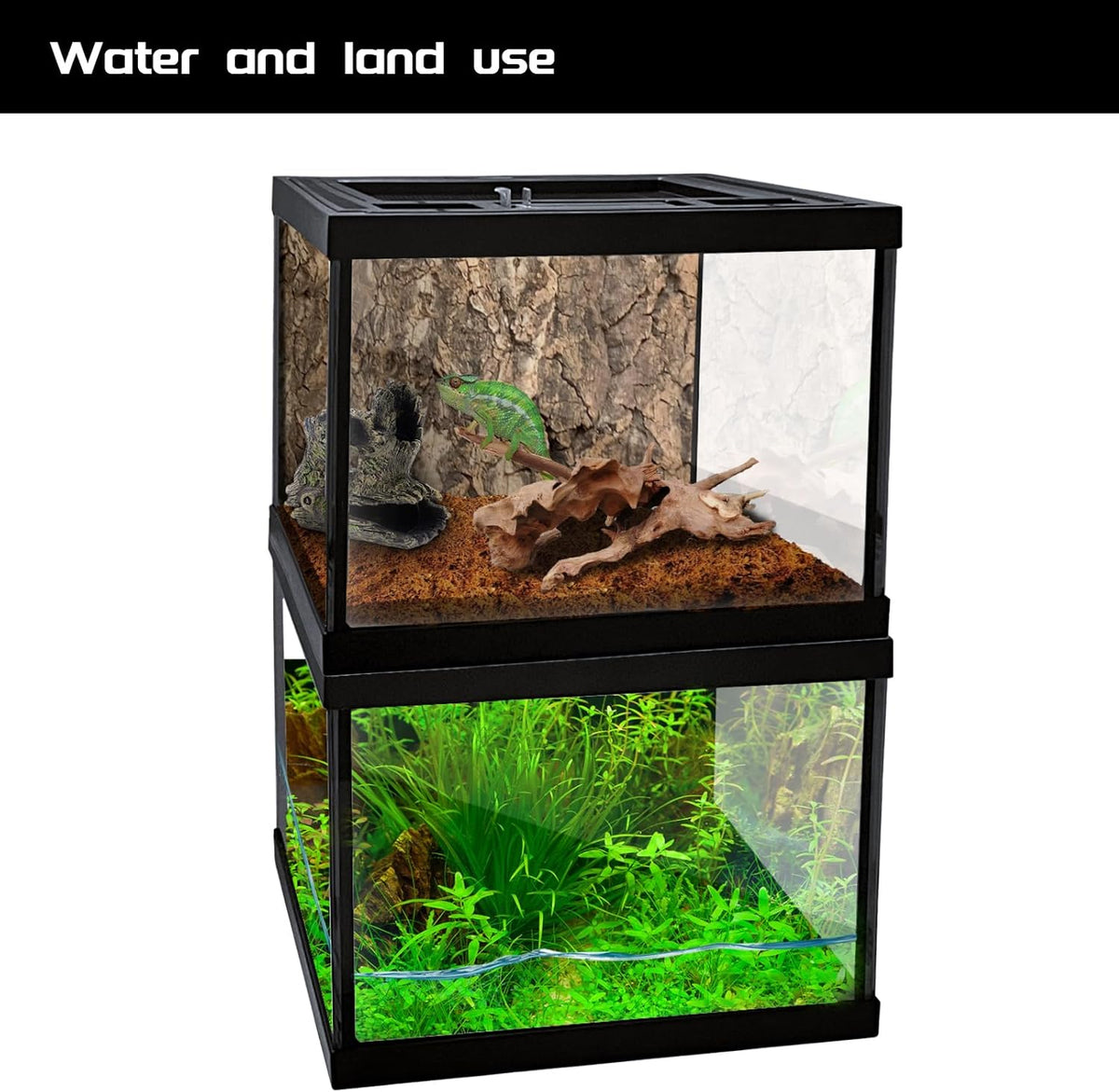 Mini Reptile Glass Terrarium Tank 8 * 8 * 6" Full View, Amphibians Box Habitat Enclosure Cage for