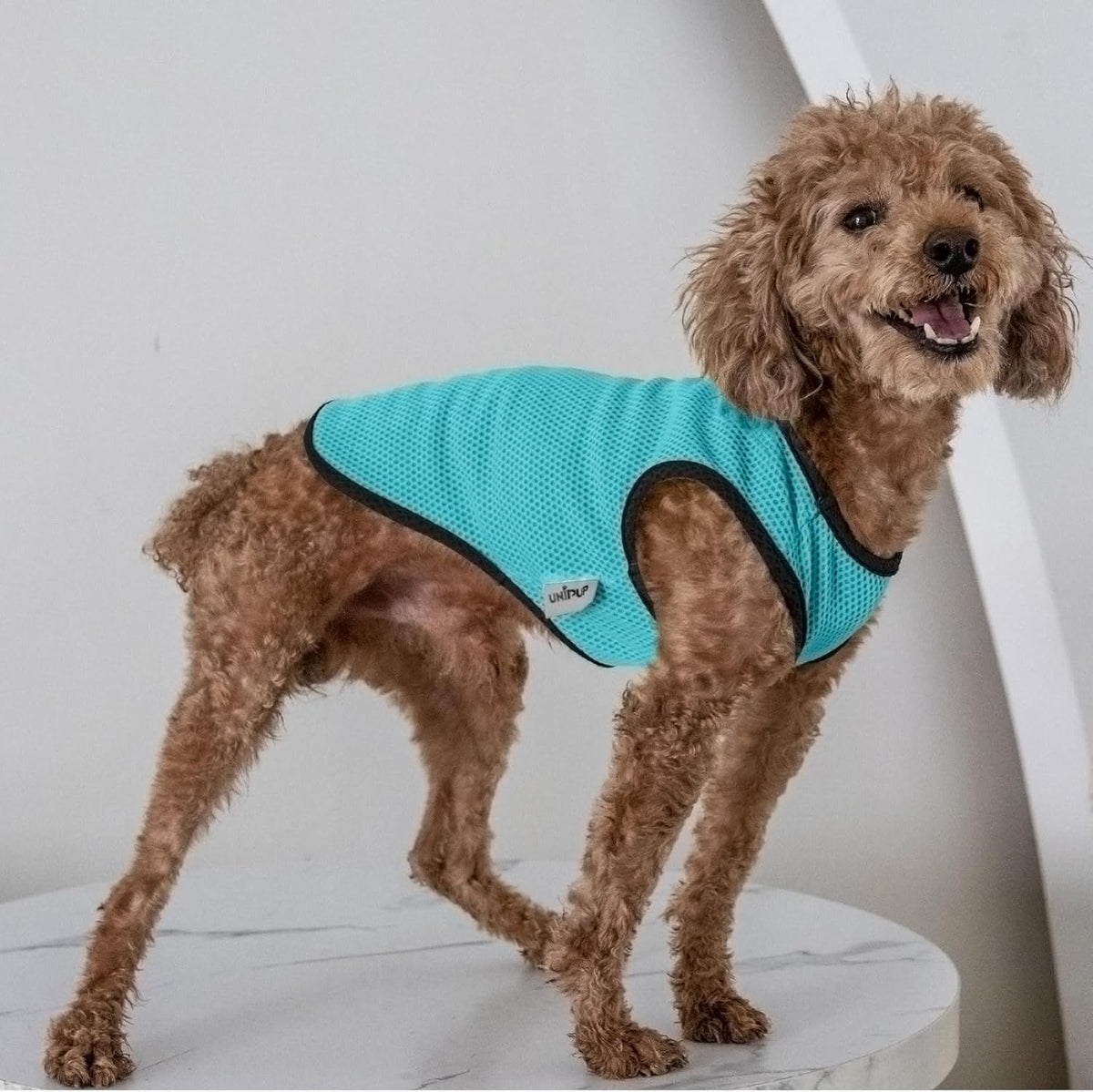 2 Pack Cooling Shirts for Dogs, Lightweight Mesh Breathable Dog Clothes for Small Dogs Boy
