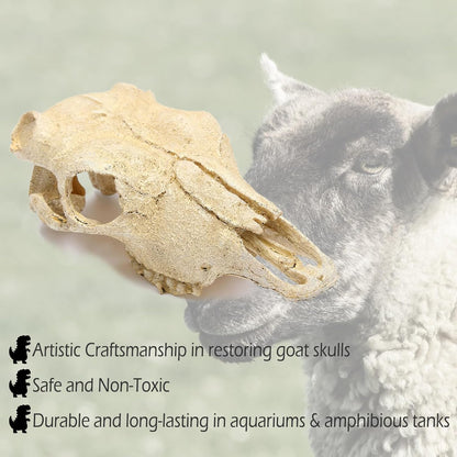 Aquarium Skull Décor Fish Hideout Cave Decorations Betta Tarantula Reptile Snake for Terrarium