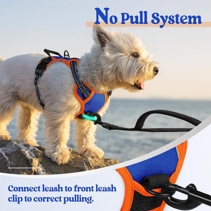 rabbitgoo Dog Harness No Pull with 2 Leash Clips, Adjustable Soft Padded, Reflective Oxford No
