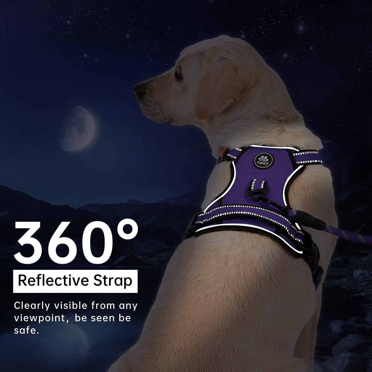 IVY&LANE No Pull Dog Harness for Large Dogs, Dog Vest Harness with Leash, Safety Belt and Storage