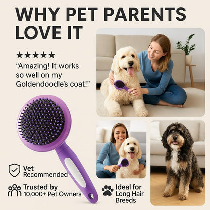 Round Bristle Pet Brush for Dogs and Cats - Soft Dog Brush for Grooming Short or Long Hair - Gentle